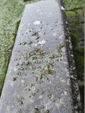 image of grave number 602854